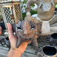 sunday sculpture with paulino celestino