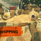 shipping